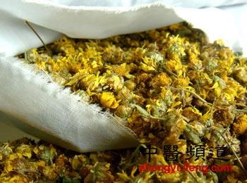 秋喝菊花茶养生:搭配枸杞最补肝肾